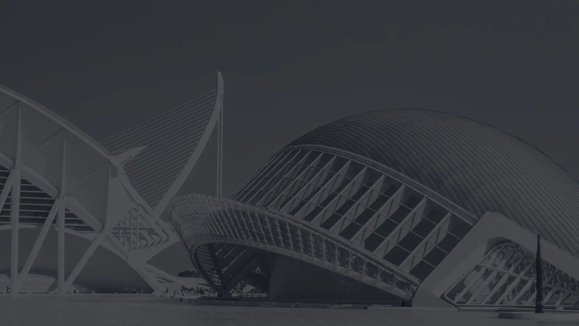 Individualūs sprendimai